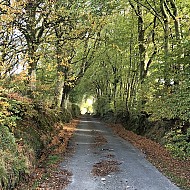 The Lane